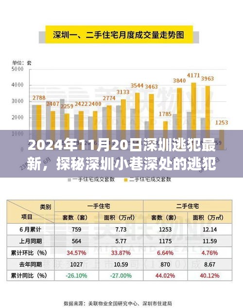 探秘深圳小巷深处的逃犯新去处，特色小店背后的故事（2024年11月20日深圳逃犯最新）