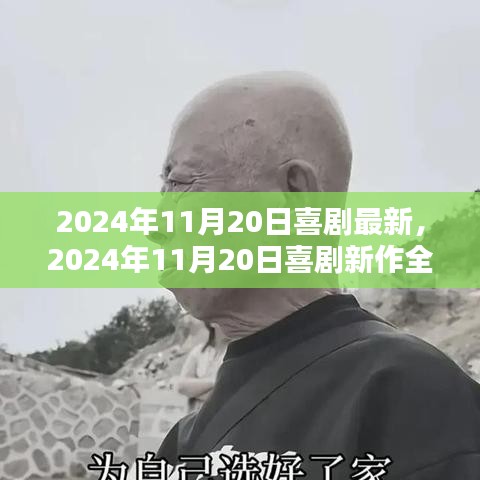 喜剧新作测评，欢笑与感动的完美结合（2024年11月20日最新）