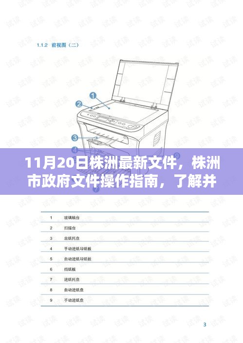 株洲市政府文件操作指南，解读最新文件，适合初学者与进阶用户了解遵循（11月20日版）