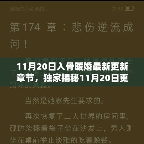 独家揭秘，入骨暖婚最新更新章节，高科技革新重塑婚姻未来体验