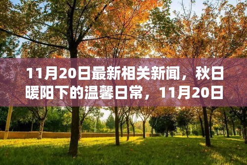 秋日暖阳下的新闻趣事与友情传递——最新相关新闻播报