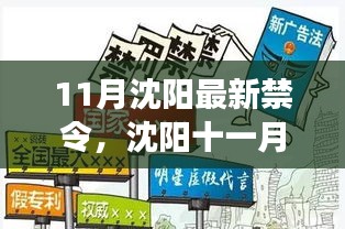 沈阳11月新禁令出台，法规更新与温馨瞬间