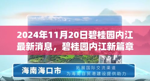 碧桂园内江最新动态，美好时光温馨传递，爱在朋友间的日常篇章（2024年11月20日）