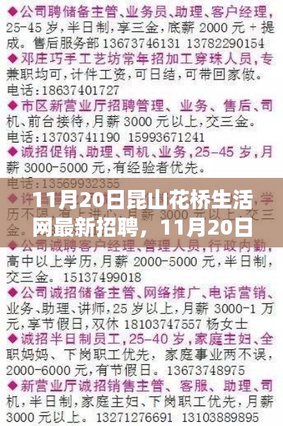 11月20日昆山花桥生活网最新招聘求职攻略，成功应聘全解析