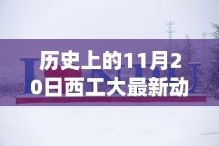 历史上的11月20日西工大最新动态回顾与概览