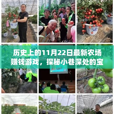 历史上的11月22日最新农场赚钱游戏，探秘小巷深处的宝藏，历史上的11月22日，全新农场赚钱游戏起源地