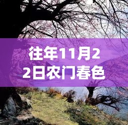 农门春色，暖阳下的秋日趣事与深厚友情最新章节发布（XXXX年XX月XX日）