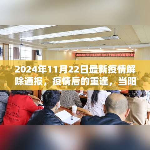 阳光照亮心灵，疫情解除通报与重逢的日子