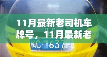 11月最新老司机车牌号，11月最新老司机车牌号全面评测与介绍