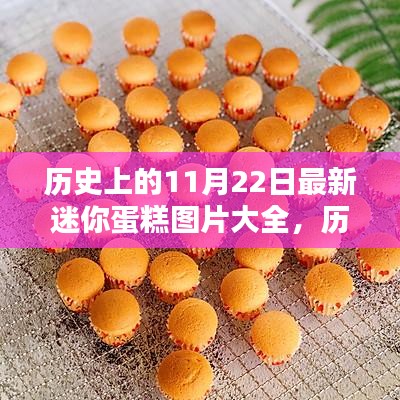 历史上的11月22日迷你蛋糕图片精选集，最新图片大全展示