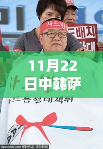 中韩萨德反导系统最新动态报道（截至11月22日）