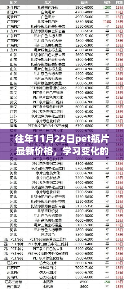 往年11月22日PET瓶片最新价格，探寻变化的力量，自信与成就的来源