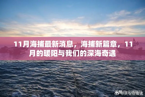 11月深海奇遇，海捕新篇章开启，暖阳下的深海探索之旅