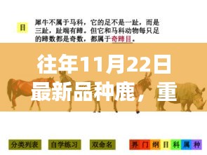 探索最新品种鹿的神奇之旅，鹿界新星重磅更新日揭秘（往年11月22日）