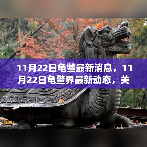 11月22日龟鳖界最新动态，生态健康与保护进展关注焦点