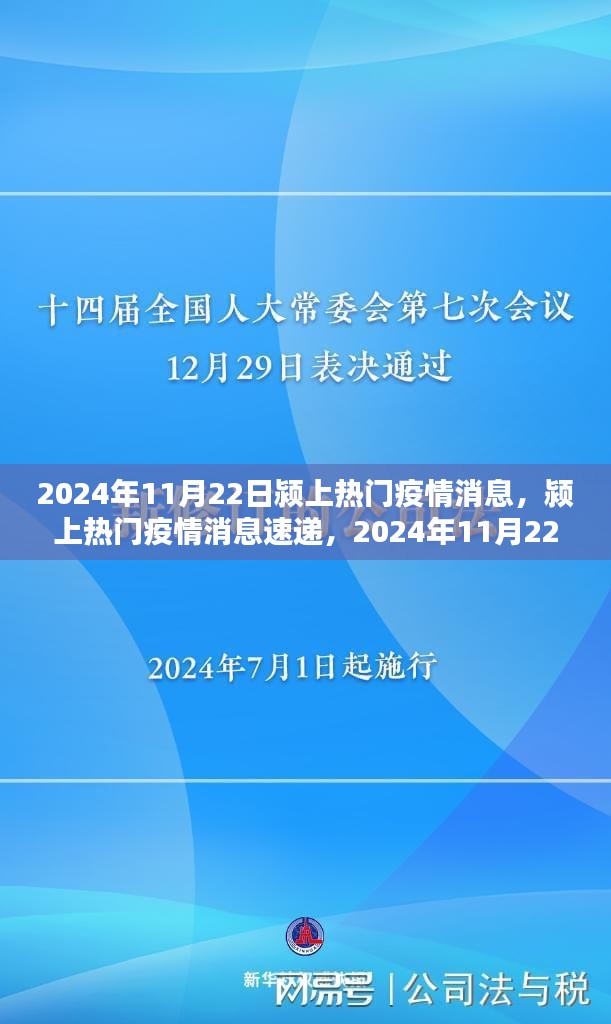 2024年11月22日颍上热门疫情消息速递