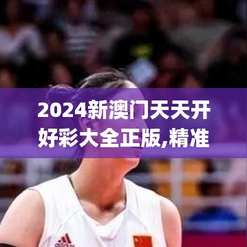 2024新澳门天天开好彩大全正版,精准解答方案详解_流线型版BWF5.67