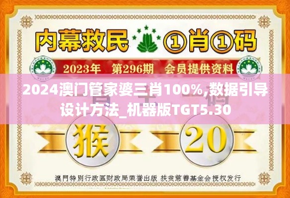 2024澳门管家婆三肖100%,数据引导设计方法_机器版TGT5.30