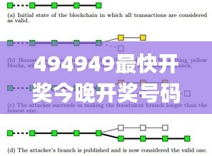 494949最快开奖今晚开奖号码,决策支持方案_计算能力版LNN5.53