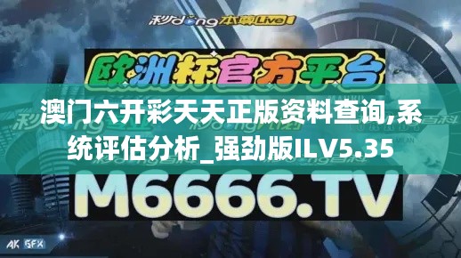 澳门六开彩天天正版资料查询,系统评估分析_强劲版ILV5.35