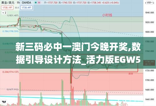 新三码必中一澳门今晚开奖,数据引导设计方法_活力版EGW5.82