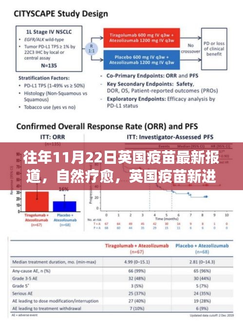 英国疫苗新进展下的自然疗愈与心灵探索之旅，美景与宁静的追寻