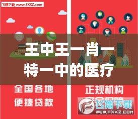 王中王一肖一特一中的医疗队,精细化实施分析_创新版QDB5.49