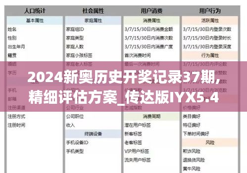 2024新奥历史开奖记录37期,精细评估方案_传达版IYX5.41