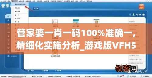 管家婆一肖一码100%准确一,精细化实施分析_游戏版VFH5.68