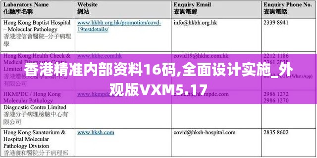 香港精准内部资料16码,全面设计实施_外观版VXM5.17