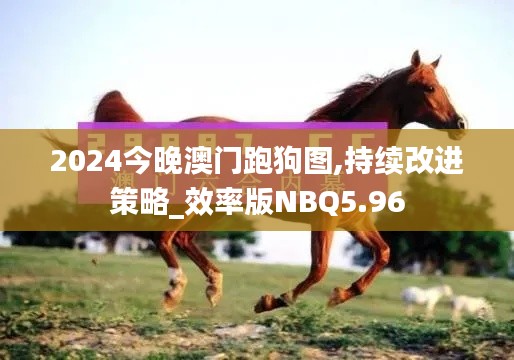 2024今晚澳门跑狗图,持续改进策略_效率版NBQ5.96