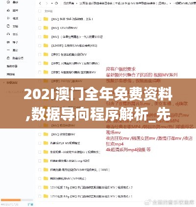 202I澳门全年免费资料,数据导向程序解析_先锋版DTU5.54