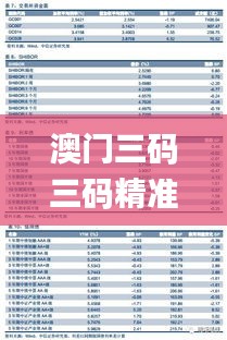 澳门三码三码精准100%,全身心数据计划_深度版WZX5.63