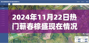 蕲春棕盛2024年11月22日现状揭秘，日常温馨与奇遇