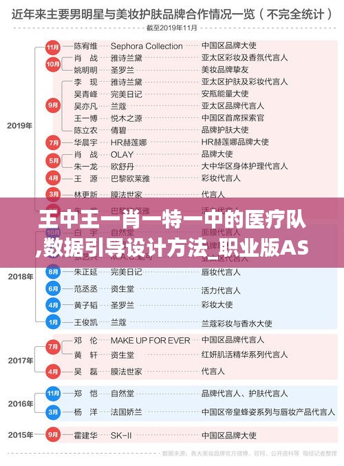 王中王一肖一特一中的医疗队,数据引导设计方法_职业版ASJ5.20