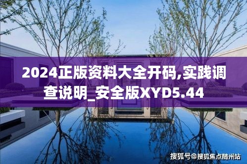 2024正版资料大全开码,实践调查说明_安全版XYD5.44