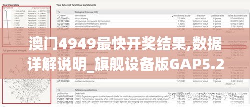 澳门4949最快开奖结果,数据详解说明_旗舰设备版GAP5.24