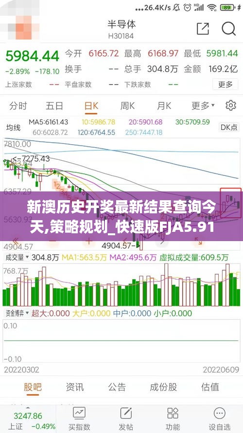 新澳历史开奖最新结果查询今天,策略规划_快速版FJA5.91