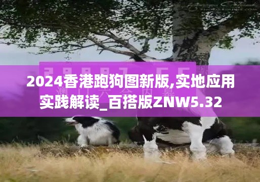 2024香港跑狗图新版,实地应用实践解读_百搭版ZNW5.32