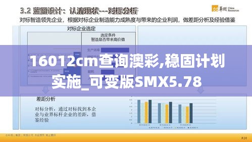 16012cm查询澳彩,稳固计划实施_可变版SMX5.78