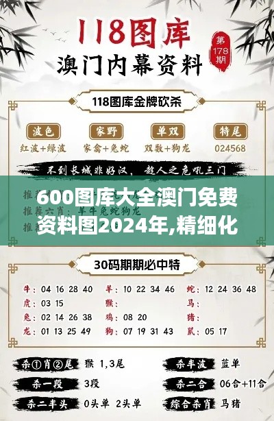 600图库大全澳门免费资料图2024年,精细化实施分析_体验版TCE5.80