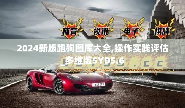 2024新版跑狗图库大全,操作实践评估_多维版SYD5.6