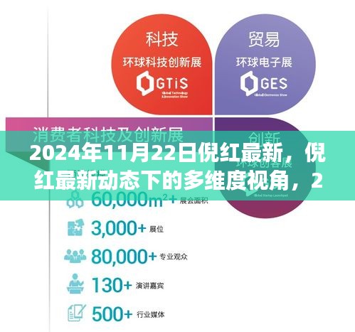 倪红最新动态，多维度视角下的观点分析（2024年11月22日）