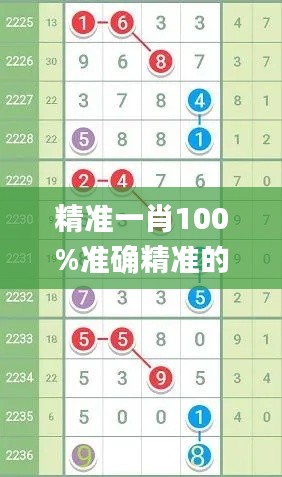 精准一肖100%准确精准的含义,全盘细明说明_安全版RYC5.61