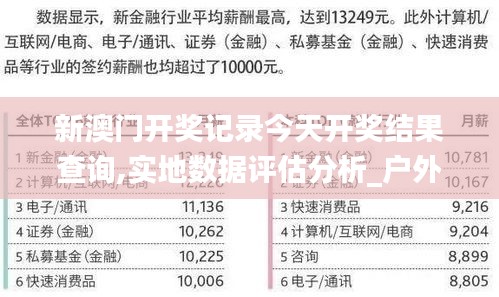 新澳门开奖记录今天开奖结果查询,实地数据评估分析_户外版SCQ5.90