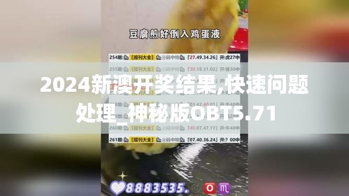 2024新澳开奖结果,快速问题处理_神秘版OBT5.71