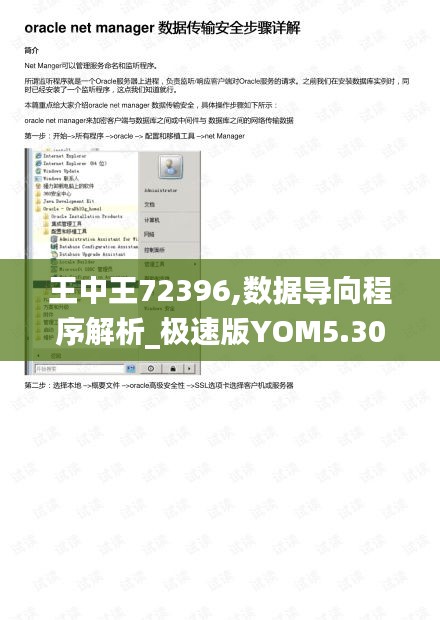 王中王72396,数据导向程序解析_极速版YOM5.30