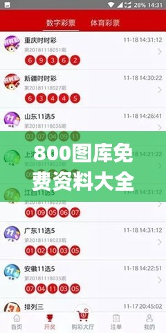 800图库免费资料大全,直播全面解答是什么软件_梦想版FSX5.20