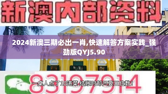 2024新澳三期必出一肖,快速解答方案实践_强劲版QYJ5.90