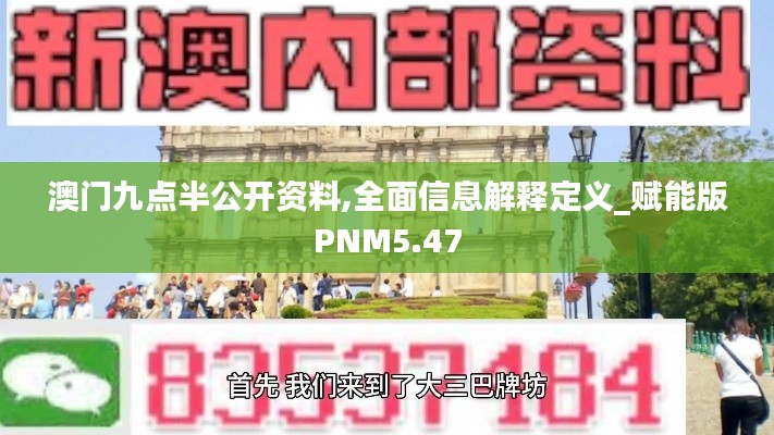 澳门九点半公开资料,全面信息解释定义_赋能版PNM5.47